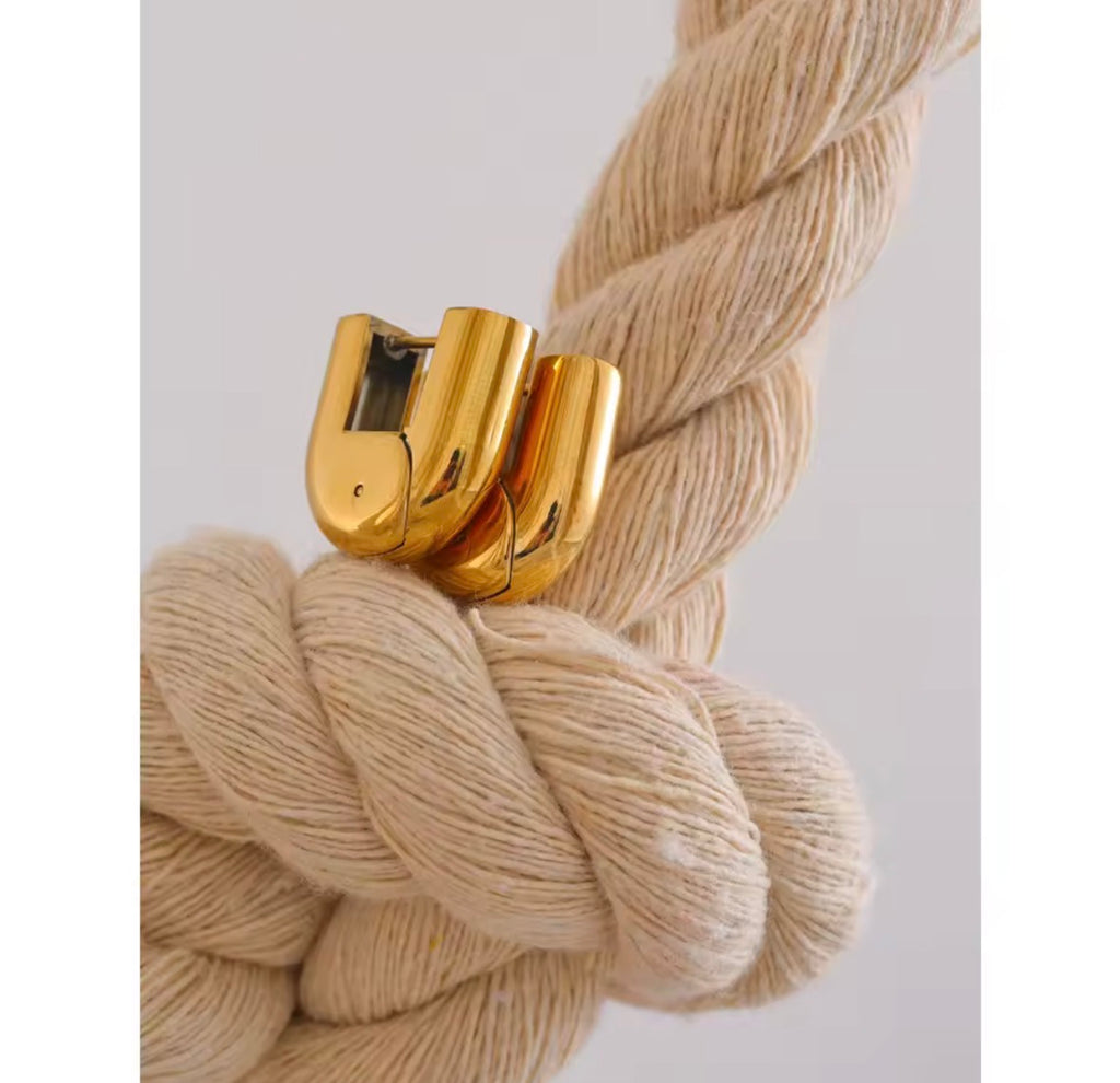 The Mireya Hoops